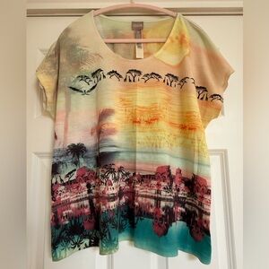 BEAUTIFUL CHICO’S TOP